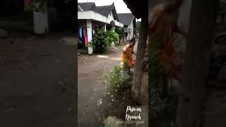 Download lagu Story wa - Angel tuturanmu mp3