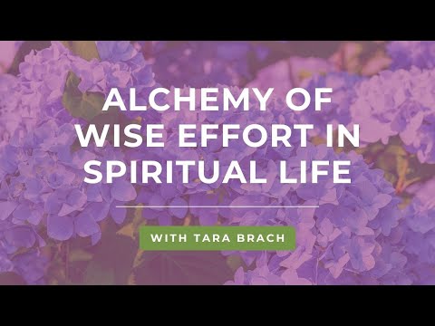 Alchemy of Wise Effort in Spiritual Life with Tara Brach