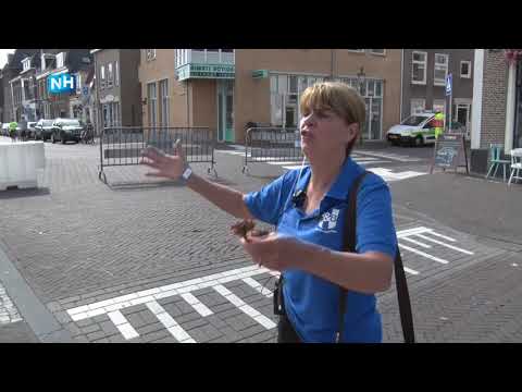 Weesp will be in the grip of the lock and bridge festival in the coming days