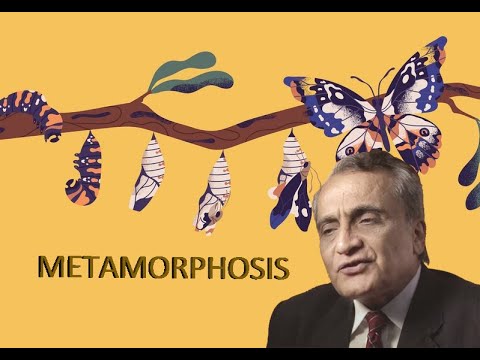 Tools for Balancing Collective Crisis – Dr. Nimesh G Desai