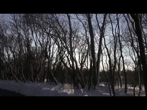 Longview Mansion Video 3