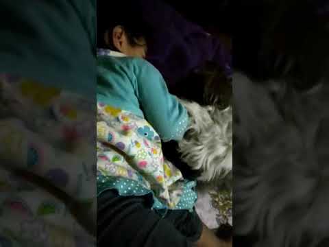 Best fight of century .  uncut and uncensored .Raw and Original . AHANA Vs SMURFTEE