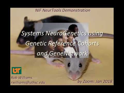 NIDA Core Center of Excellence in Omics, Systems Genetics, and the Addictome, Dr. Rob Williams