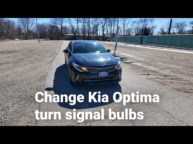 Judge.me YouTube video placeholder