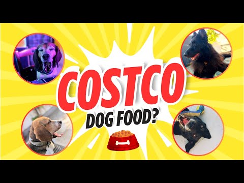 Kirkland Dog Food Review | Is Costco Dog Food Good?