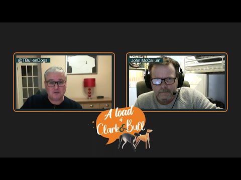 A Load of Old Bull feat. John McCallum | Episode 4 | 2021 ARC Northern Puppy Derby heats & outright