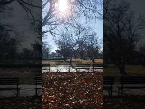 12/21/22 Nancy Drew-Video 1(11:00am)-Z From Ukraine in DC-Piglosi Wants All Hands on Deck Tonight...