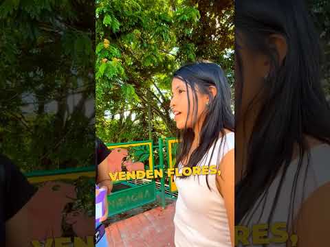 ¿Cuál es el mejor almacén de Tena? 🏪 Kristel | King Link