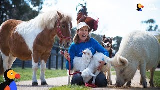 Woman Quits Job To Start An Animal Sanctuary Because of One Pig | The Dodo