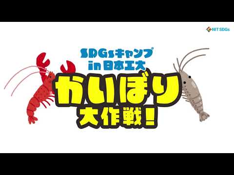 【日本工業大学】池の水を（ほとんど）抜く！「かいぼり」を実施～SDGsキャンプin日工大