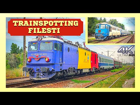 [4K] Trafic Feroviar / Railway Traffic in Filesti | Trenuri Galati | August 18th, 2021