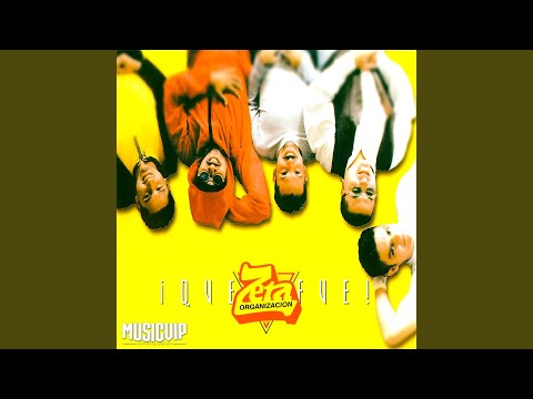 Amor No Te Engañes - Organización Zeta