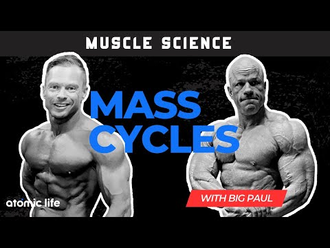 Muscle Science Mass Cycles