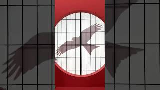 READY? #WayV #威神V #鸢#WayV_VisionWings#NCT_10TH_ANNIVERSARY