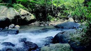 Nature Sounds, Flowing River Stream, White Noise 10 minutes to Sleep