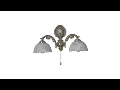 Video Aplica Lara 2 Klausen