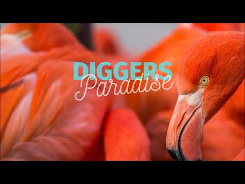 Sigurd Cochius - Indianenmars