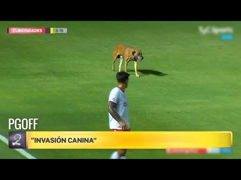 Curiosidades "Planeta Gol" 05/03/2023