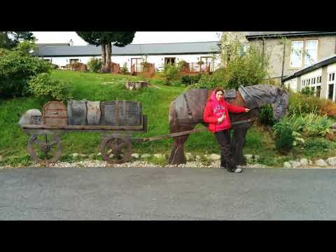 A Trip with the Steam Train to Scottish Highlands!