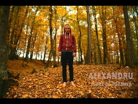 Alexandru - Flori de toamnă (N-ar Trebui) (Videoclip Oficial)