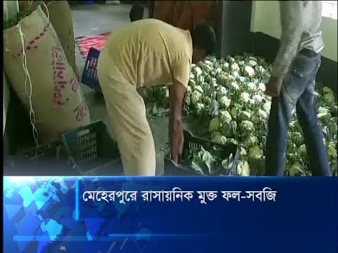 মেহেরপুরে রাসায়নিক মুক্ত ফল-সবজি