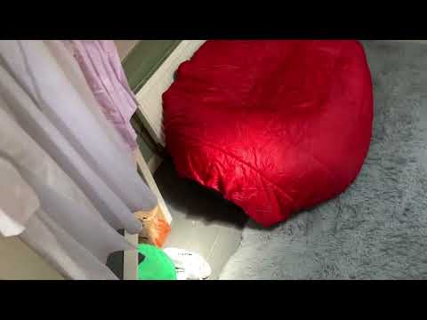 Dutch Barge 13m  - Boatshed - Boat Ref#314010