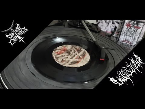 Caedes Cruenta & Catacumba - Congregation of the Black Gods (7" split)