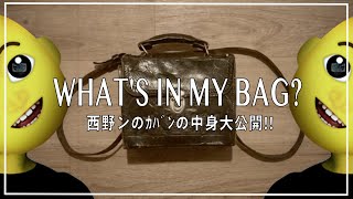 西野ンのｶﾊﾞﾝの中身を大解剖👜🔪 / What's in my bag?