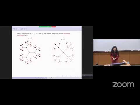 Marie-France Vignéras: Modular representations of p-adic groups