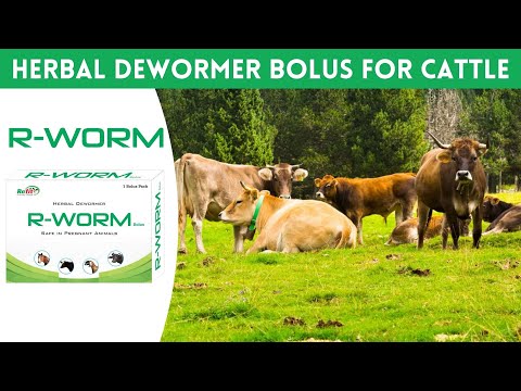 Veterinary herbal dewormer bolus for cow, cattle, goat and l...