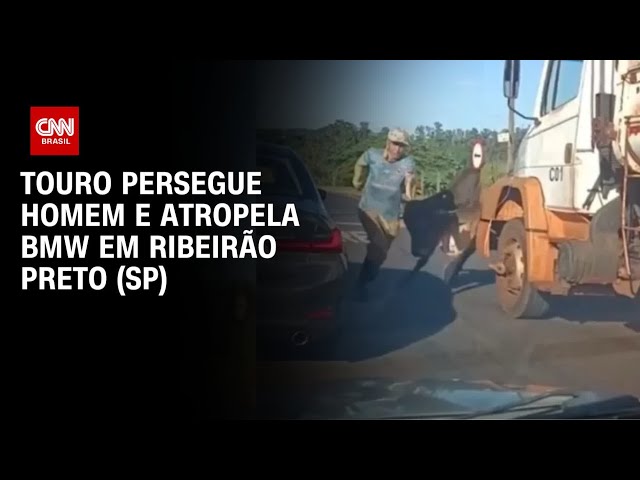 Veja momento em que touro “atropela” carro importado em Ribeirão Preto (SP) | CNN 360º