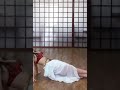 New Belly Dance Workout