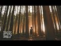 Michl - Broken Roots - MrSuicideSheep Michl - Broken Roots
