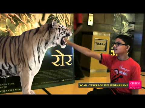 Saptarshi Face To Face With The Tigers Of The Sundarbans