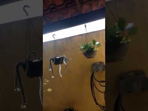 Casa de Nilce Benjamim Igarape. Minas Gerais..