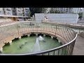 屯門建生邨人工湖噴泉 The Fountain In Kin Sang Estate At Tuen Mun