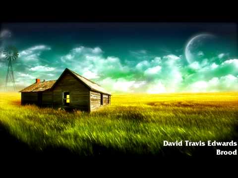 David Travis Edwards - Brood