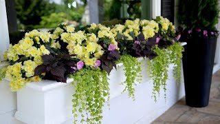 Enjoy Your Flowers from the Inside with a Window Box!