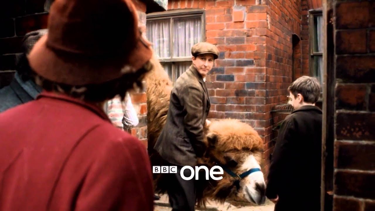 Our Zoo: Trailer - BBC One