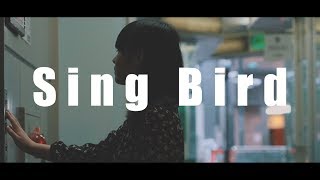 Sing Bird/カラフルスクリーム(Official Video)