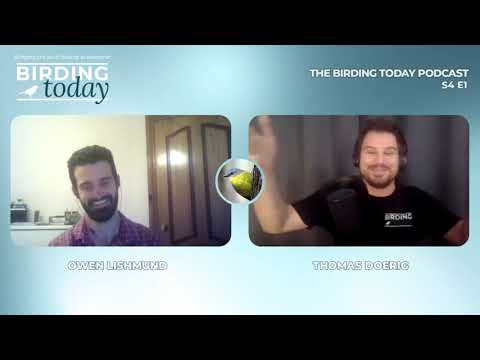 THE BIRDING TODAY PODCAST S4 E1 | Birding in Victoria | OWEN LISHMUND
