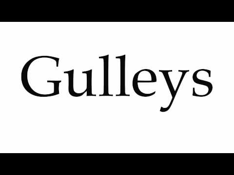 How to Pronounce Gulleys