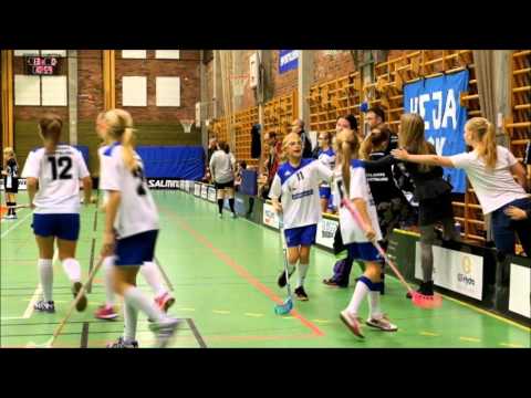 Några glimtar från Häljarps SK F12 - Palmstaden IK 2015-12-05
