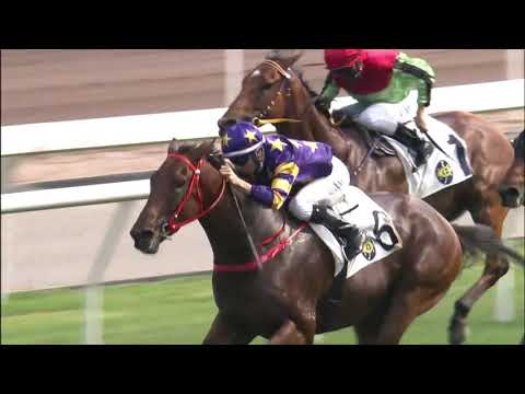 28/3/2021 (541) Gallant Express - J Moreira