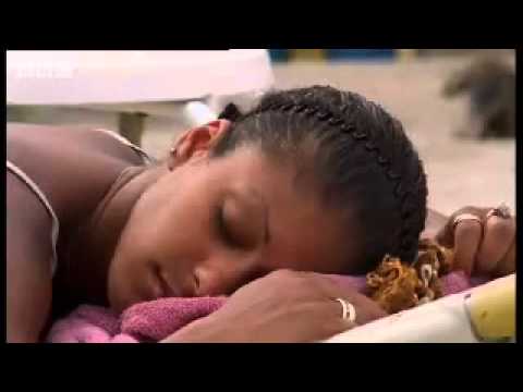 Bill y Bob están en un error.