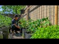 Drip Irrigation Installation To Save Time And Water