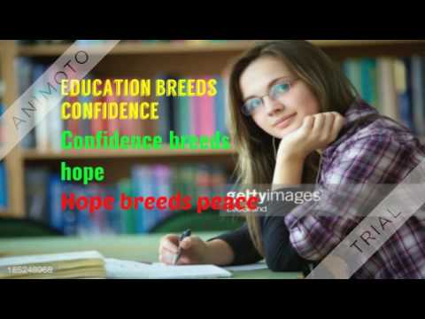 IT 206 Courses(Snaptutorial)