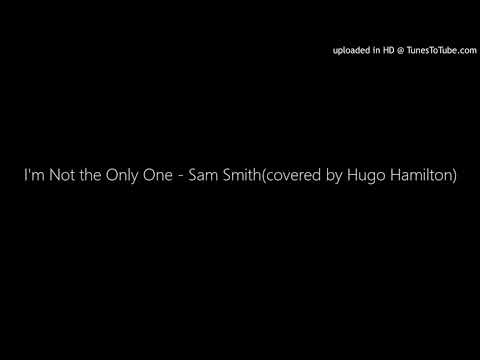 I'm Not the Only One - Sam Smith(cover by Hugo Hamilton)