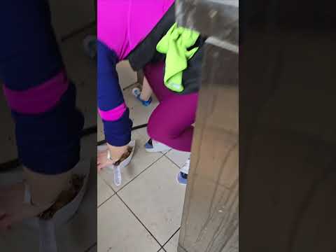 Maria`s Team Cleaning Company video.