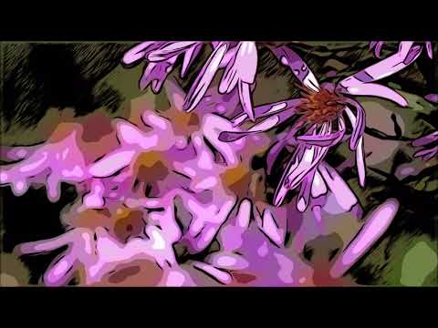 Mt. Rainier as Comic Art in 4K to James Taylor